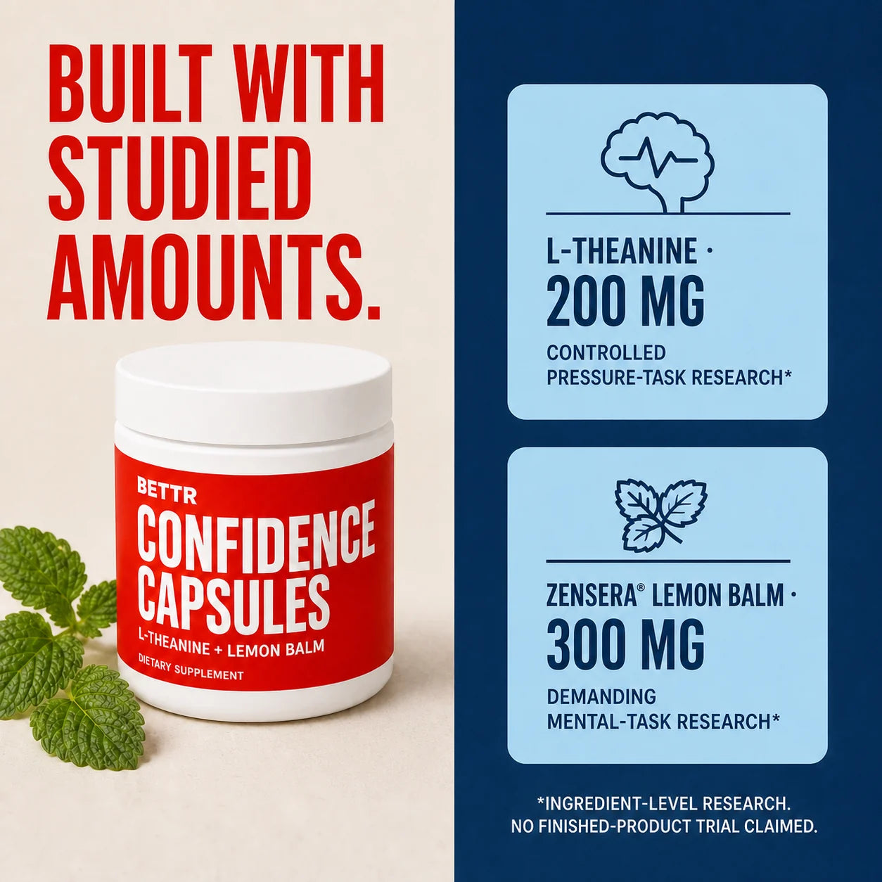 Ingredient-level research context for the studied L-theanine and lemon balm amounts