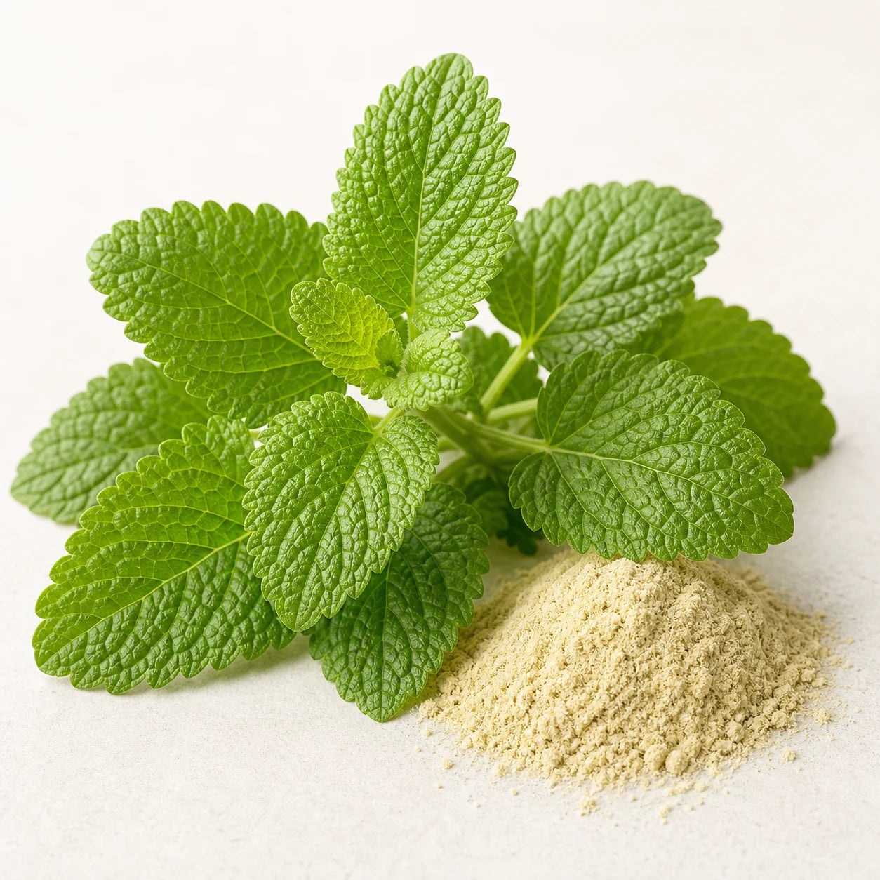 Lemon balm ingredient