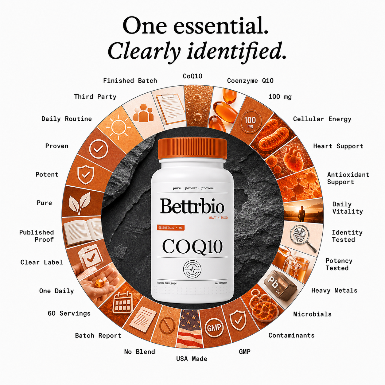 CoQ10 product standard