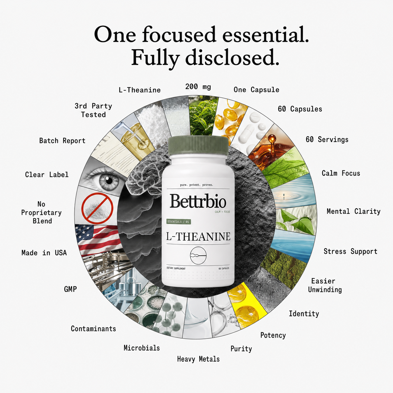 L-Theanine formula and quality map