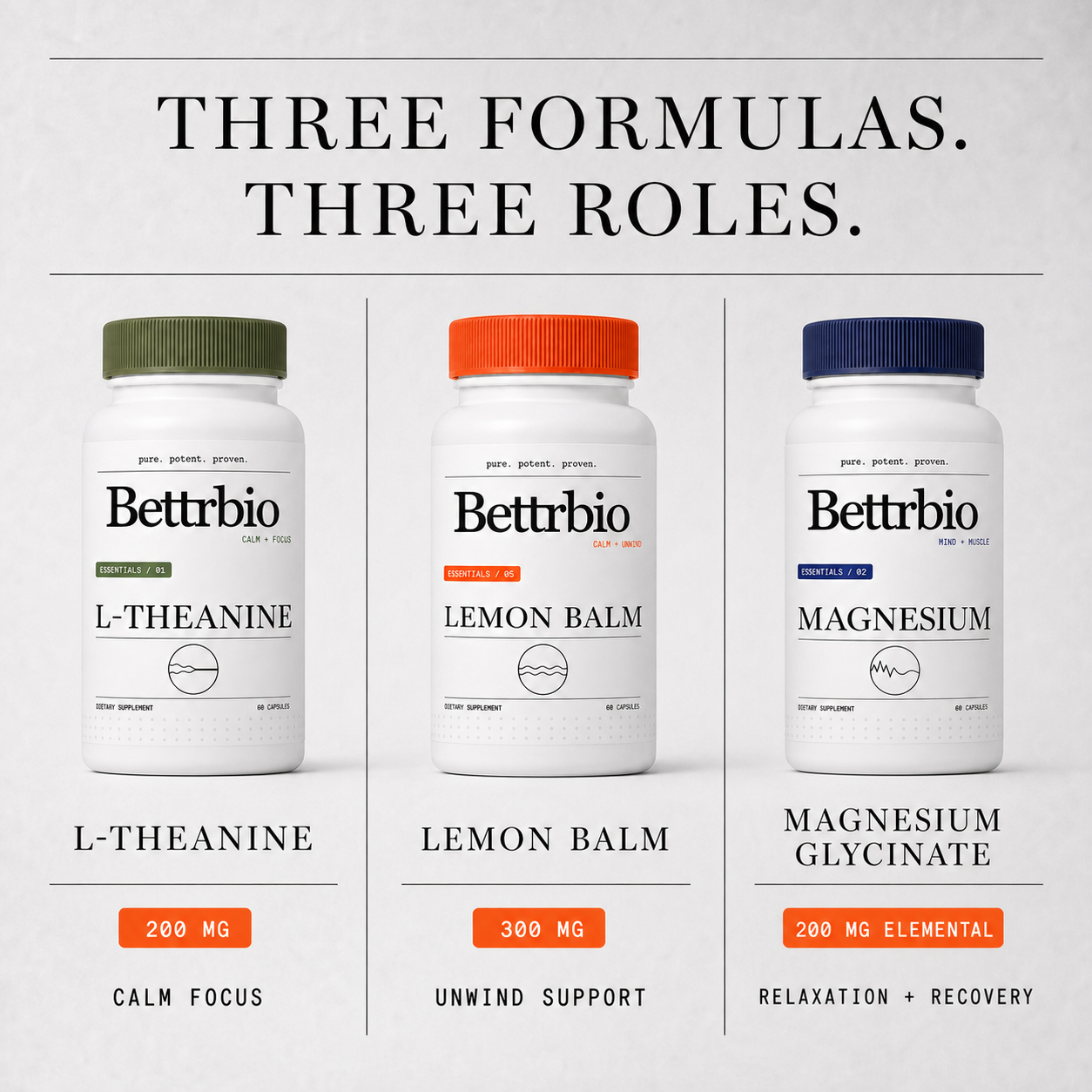 Three Nervous System Support formulas and their roles